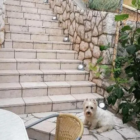 House Panorama - One Bedroom With Terrace And Sea View Cezar * Novi Vinodolski